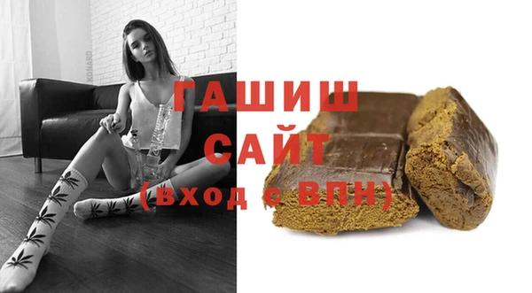 хмурый Алексин