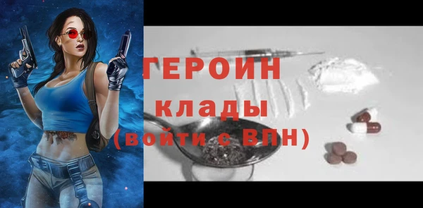 хмурый Алексин