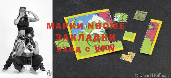 хмурый Алексин