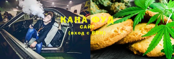 хмурый Алексин