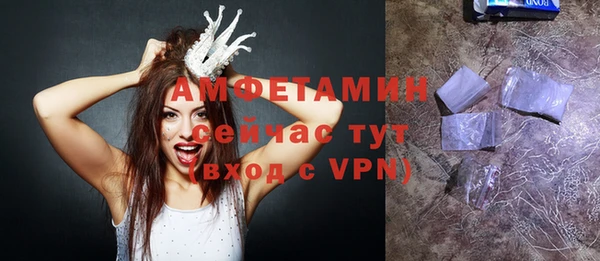 хмурый Алексин