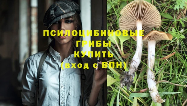 COCAINE Алзамай