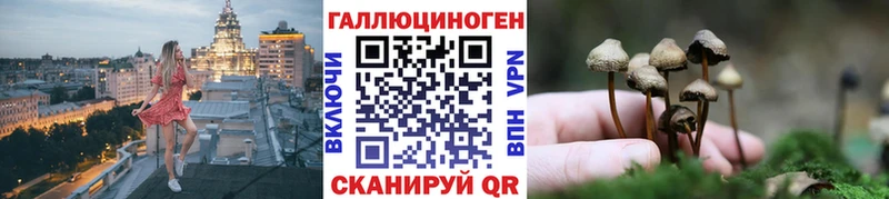Галлюциногенные грибы прущие грибы  Всеволожск 