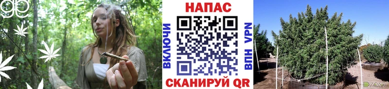Каннабис White Widow  Всеволожск 